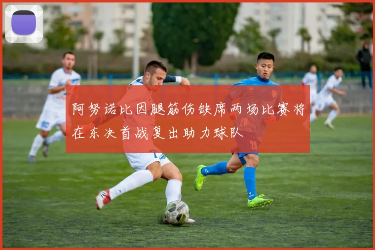 阿努诺比因腿筋伤缺席两场比赛将在东决首战复出助力球队